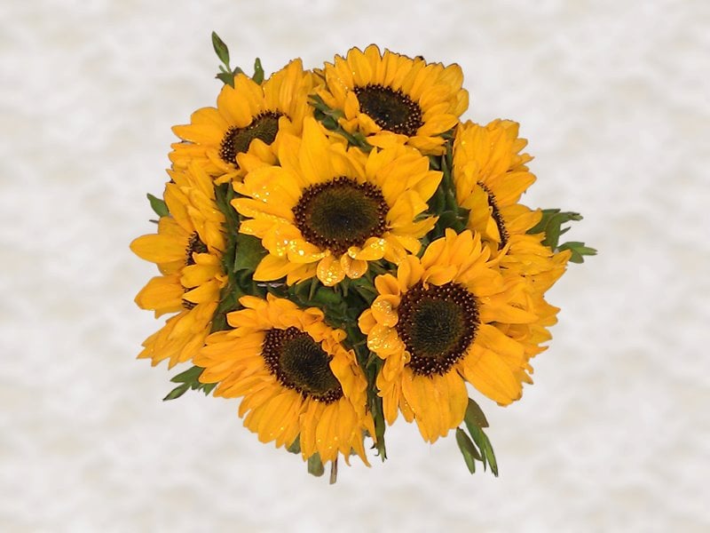 Photo of Norah MitchellFlowers