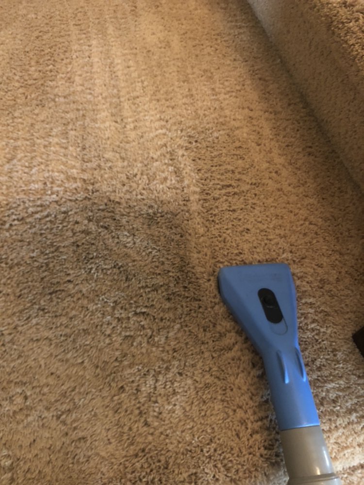Photo of Silver Olas Carpet Tile Flood Cleaning