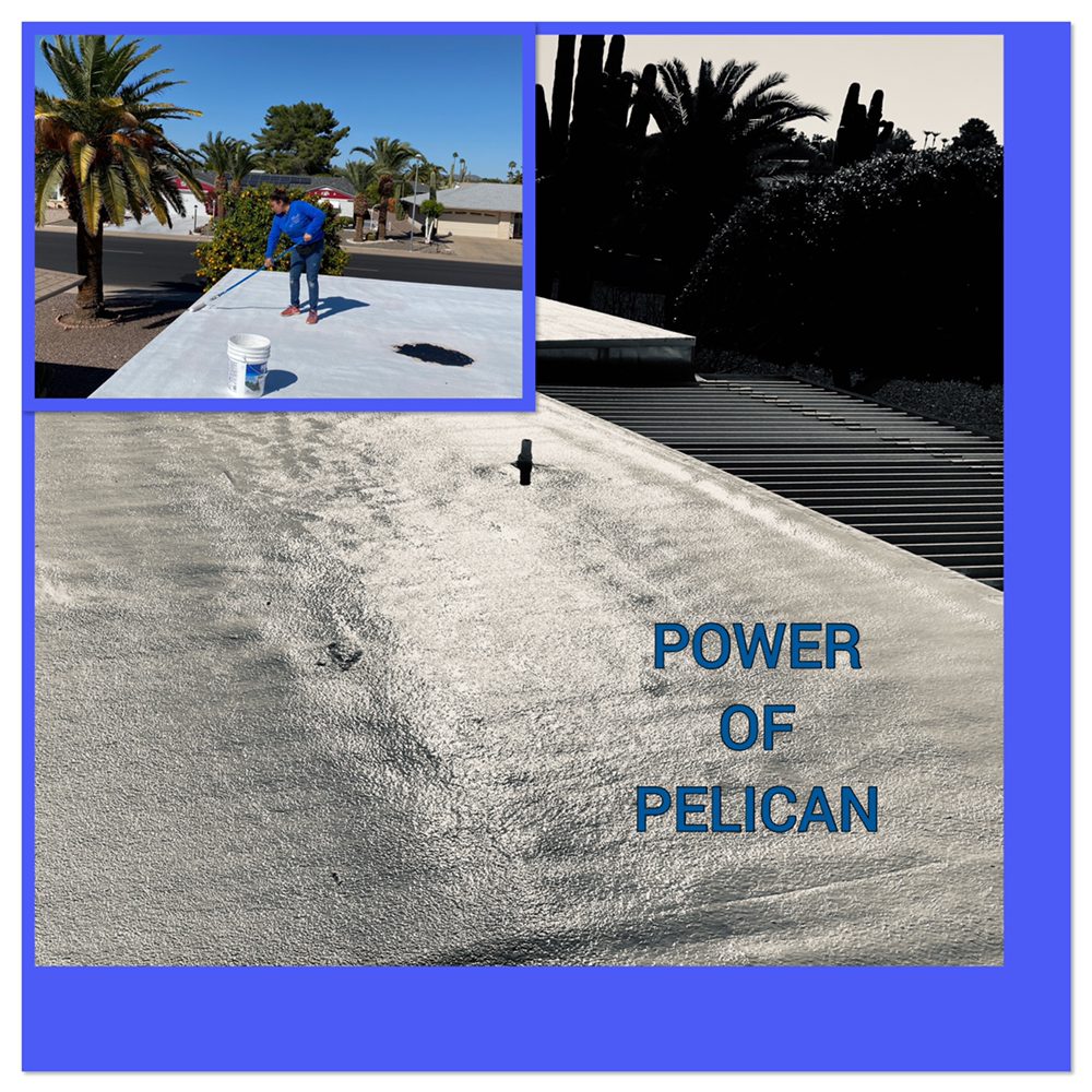 Photo of Pelican Power