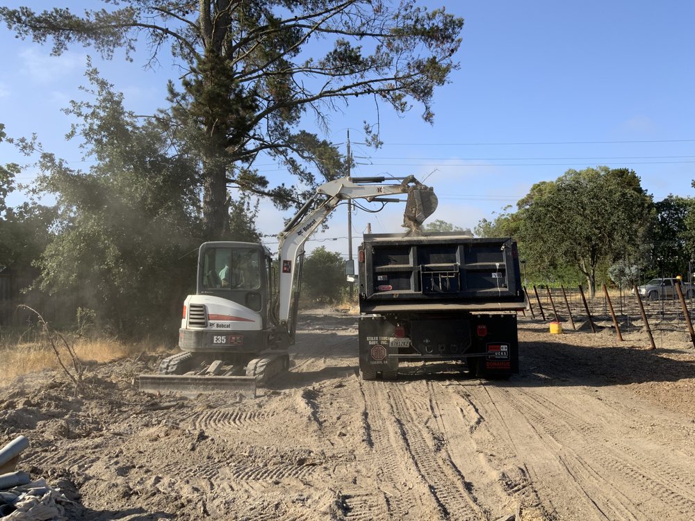 Photo of Little Monsters Excavation