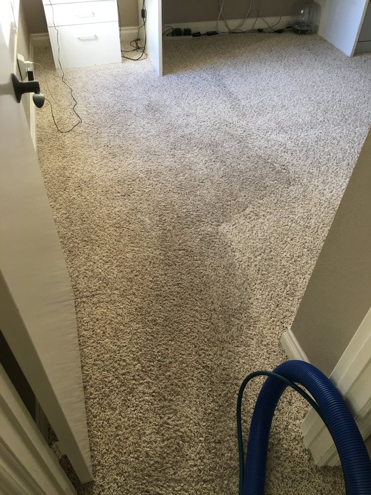 Photo of Discenzo Carpet Cleaning Service