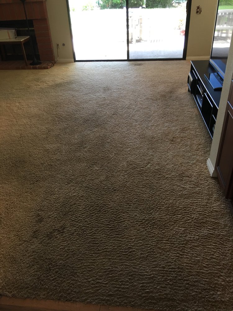 Photo of Discenzo Carpet Cleaning Service