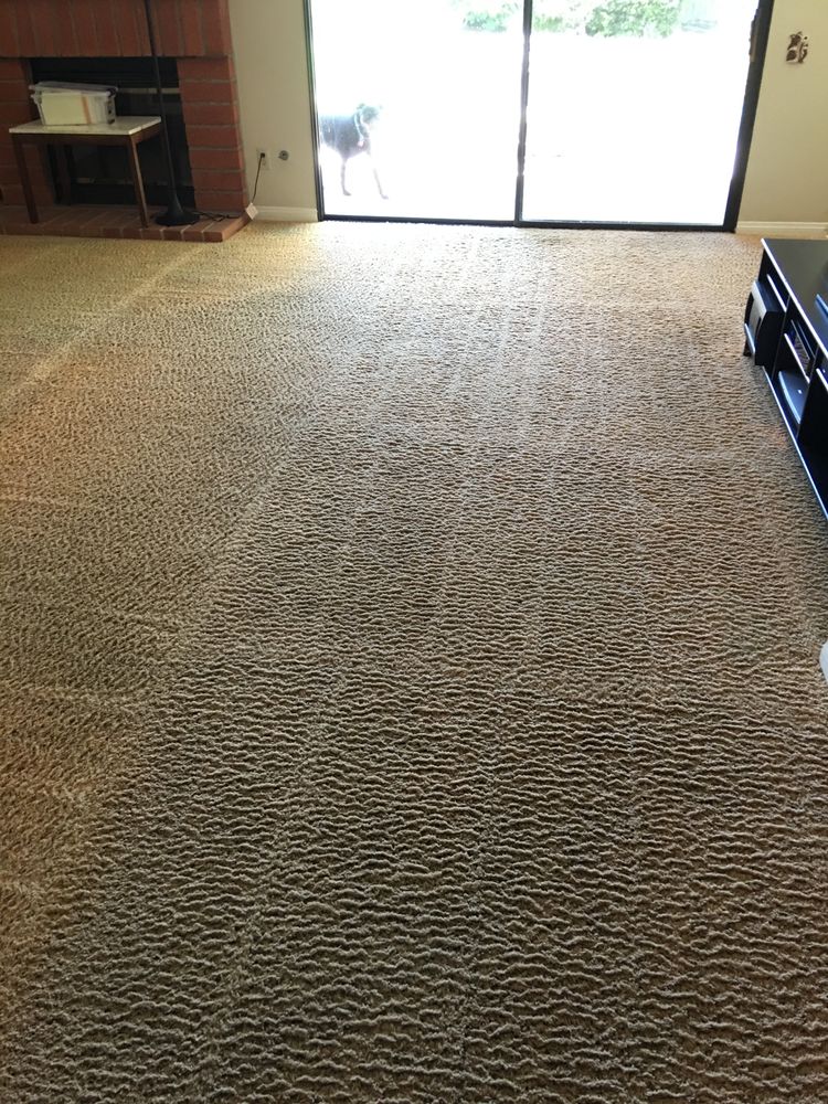 Photo of Discenzo Carpet Cleaning Service