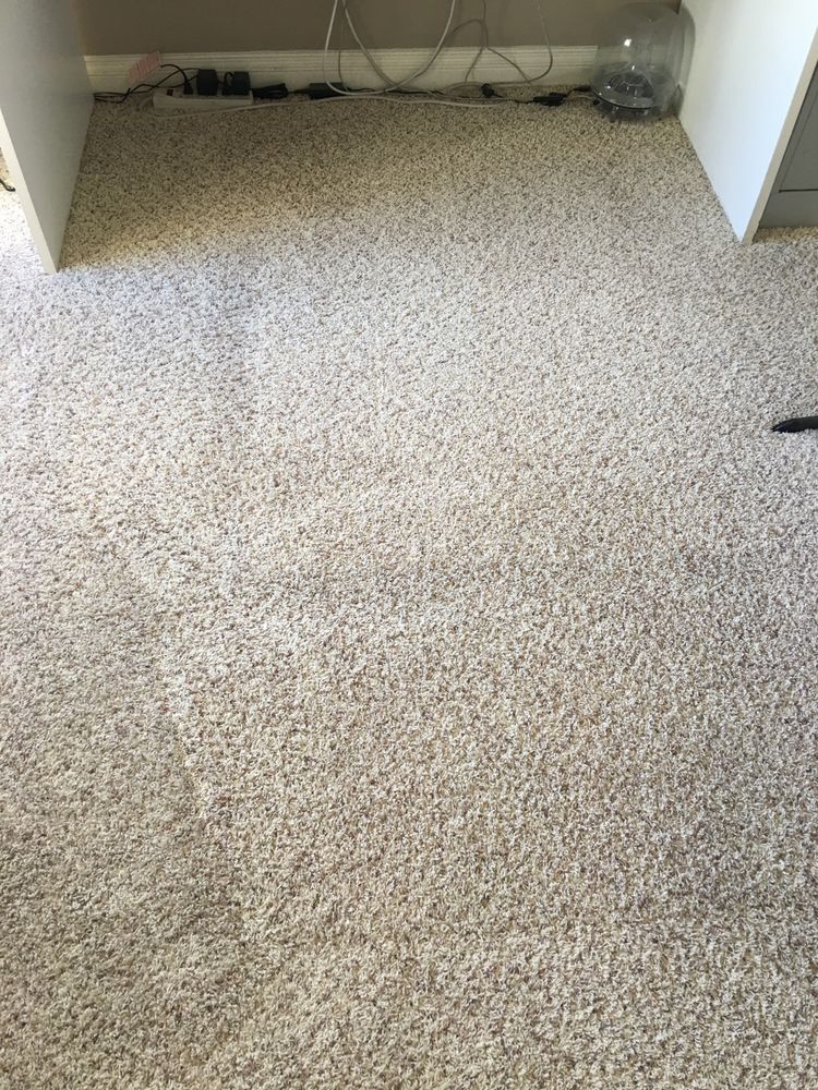 Photo of Discenzo Carpet Cleaning Service
