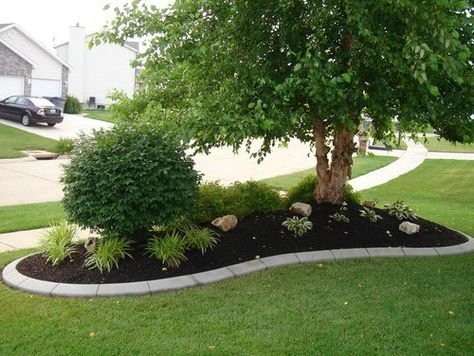 Photo of Will Way Lawn Care