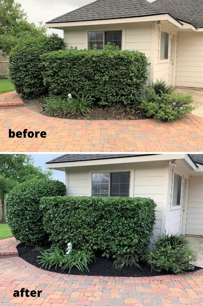 Photo of Will Way Lawn Care