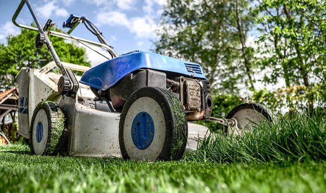 Photo of High Definition Lawn and Landscape