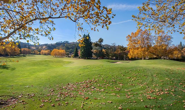 Photo of High Definition Lawn and Landscape