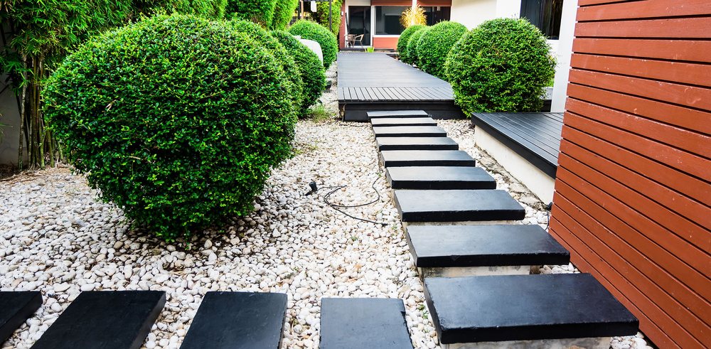 Photo of High Definition Lawn and Landscape