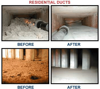 Photo of Omni Carpet Cleaning
