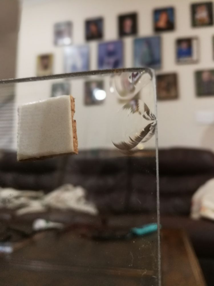 Photo of Diamond Glass Company