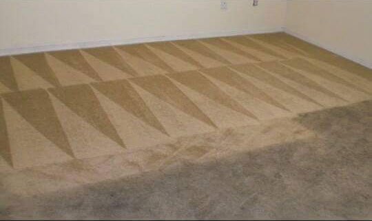 Photo of Lifeco Steam Clean