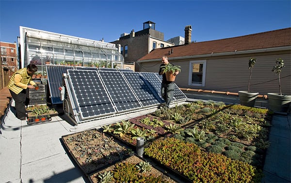 Photo of Bay Ecological Design