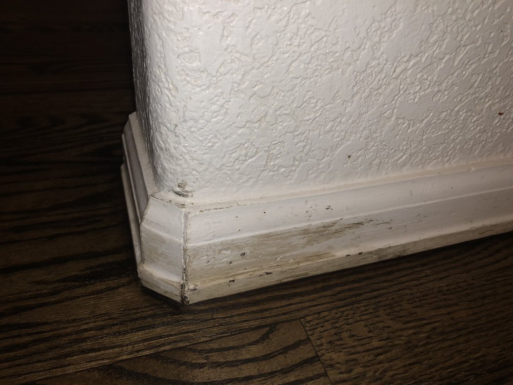 Photo of Professional Flooring Solutions