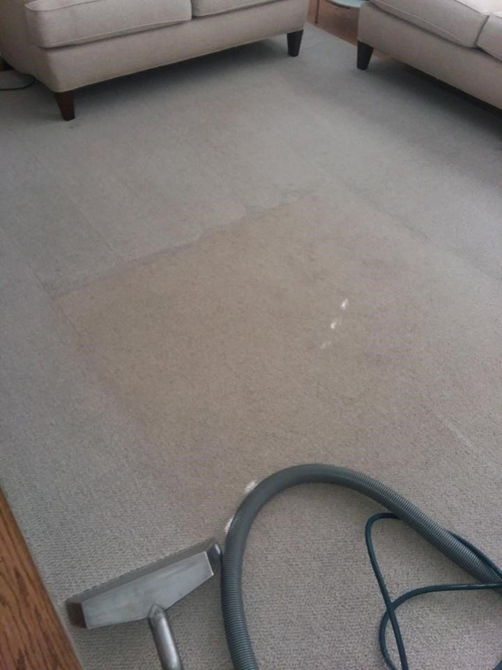 Photo of Performance Carpet Cleaners