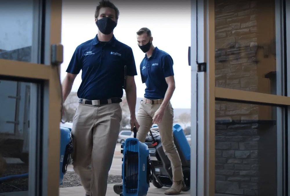 Photo of Dry Force Water Removal Specialists