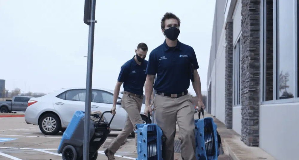 Photo of Dry Force Water Removal Specialists
