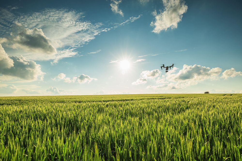 Photo of Skydown Aerial Services