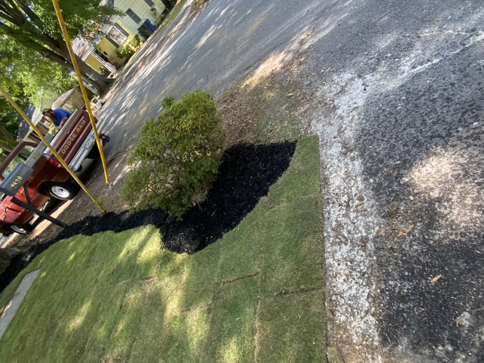 Photo of Turf Dogs Landscaping