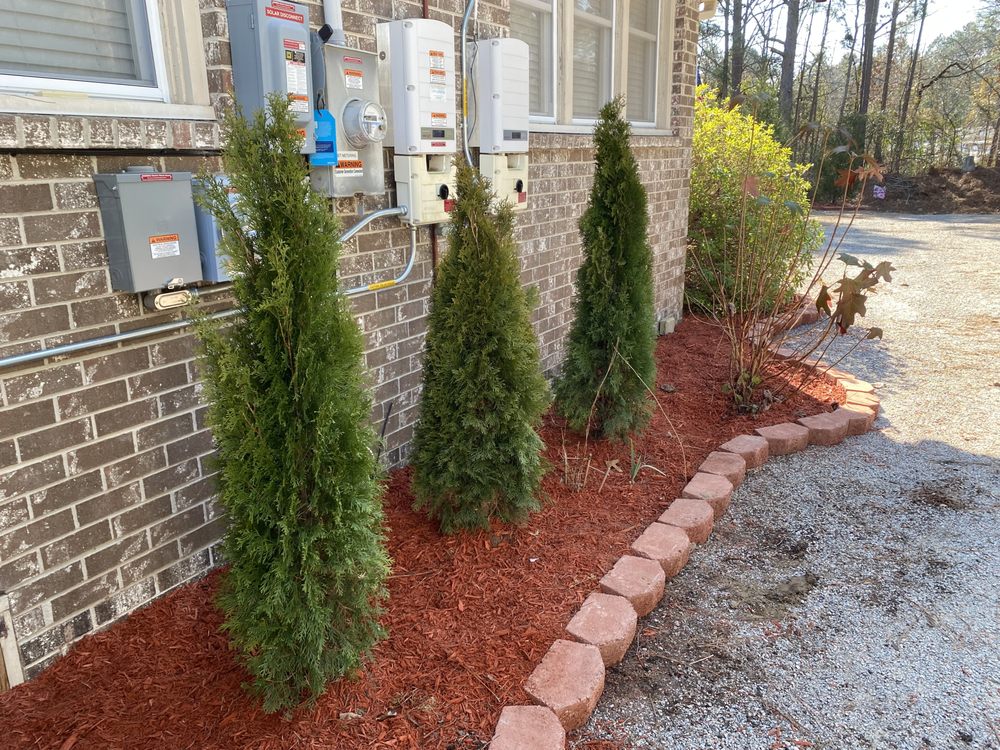 Photo of Turf Dogs Landscaping
