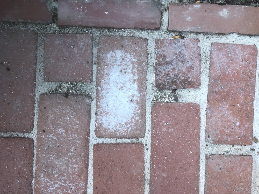 Photo of Euro Paving
