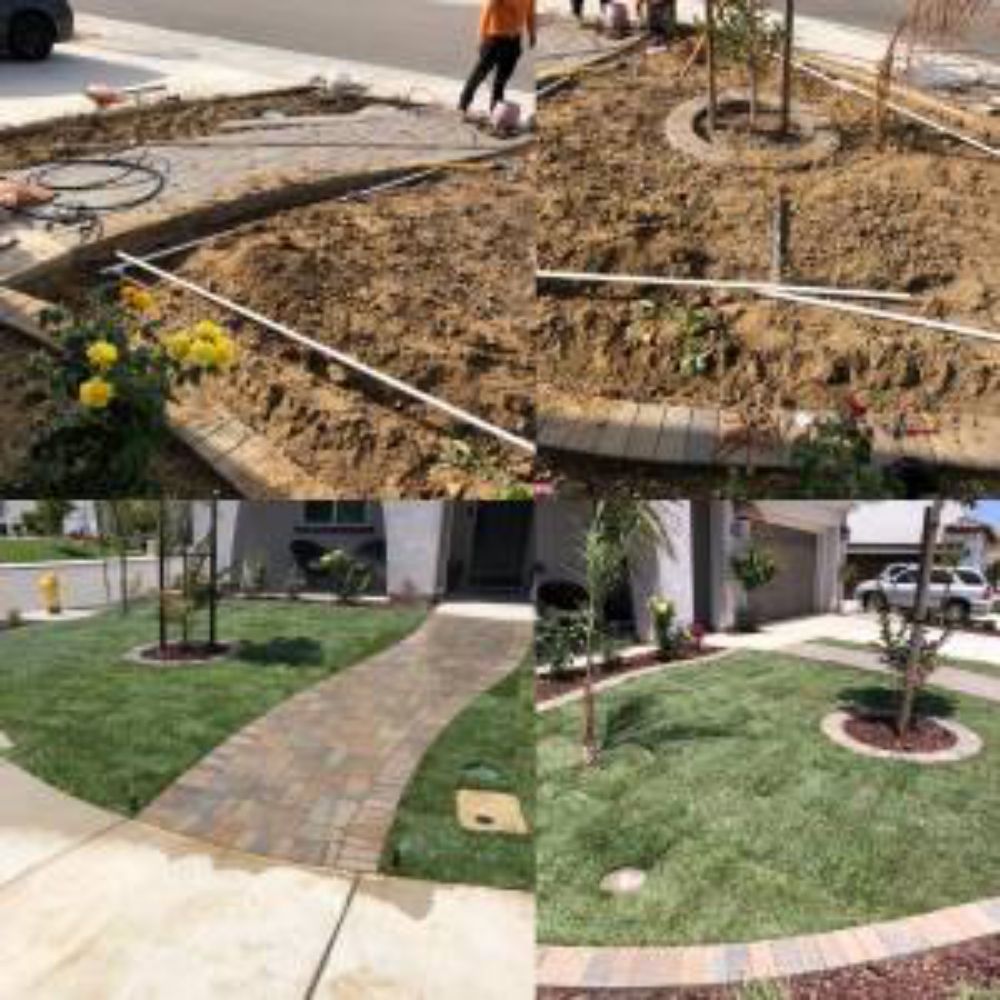Photo of Clean Up Maintenance and Landscape Service