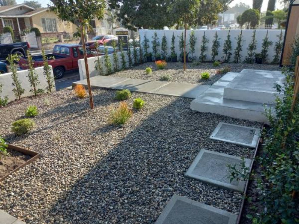Photo of Clean Up Maintenance and Landscape Service