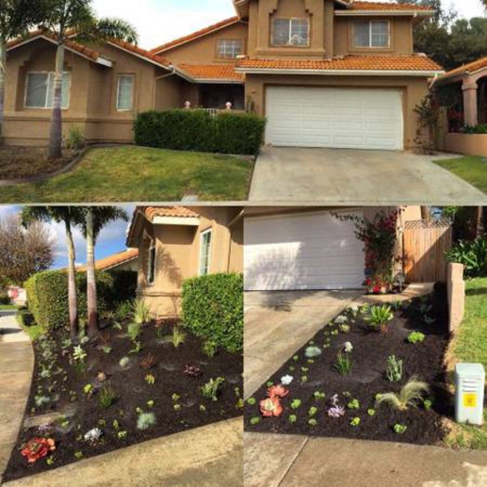 Photo of Clean Up Maintenance and Landscape Service