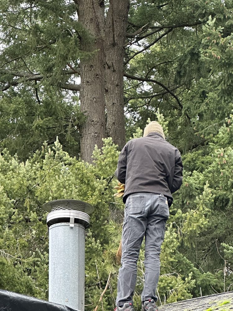 Photo of Tip Top Chimney Sweep