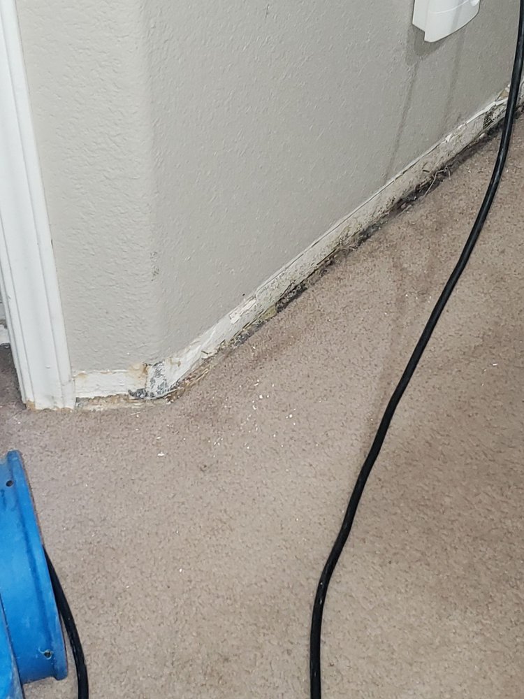 Photo of Pro Restoration