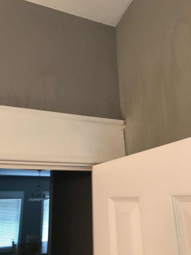 Photo of OB Extra Clean