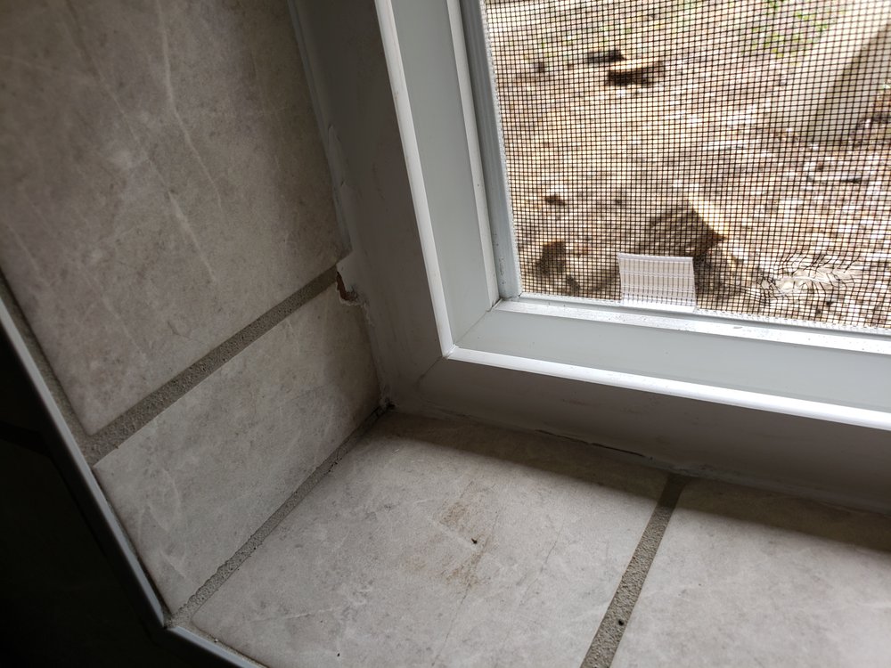 Photo of Windows For Less