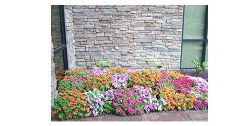 Photo of Duax Snow Removal and Lawn Care