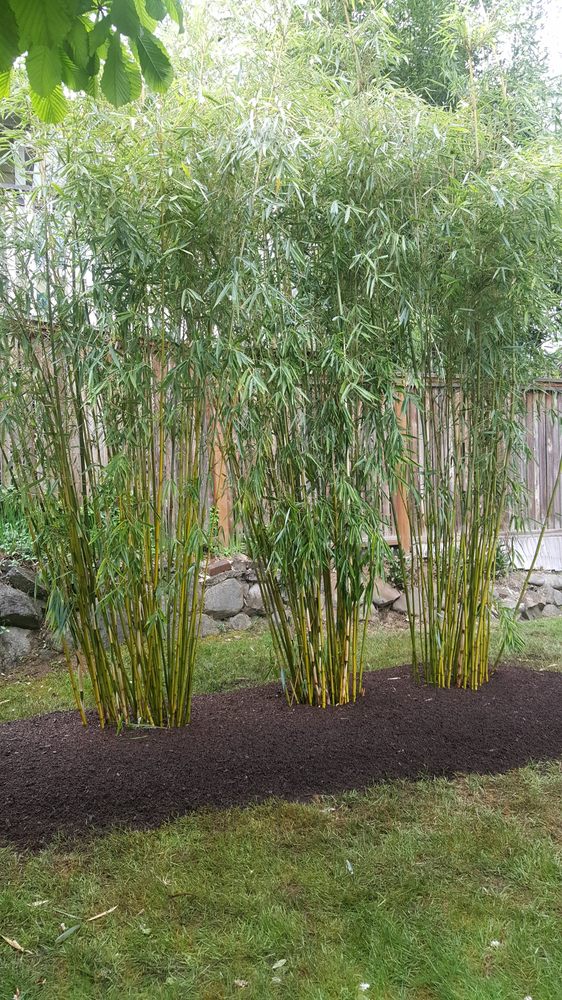 Photo of Cascade Gardens