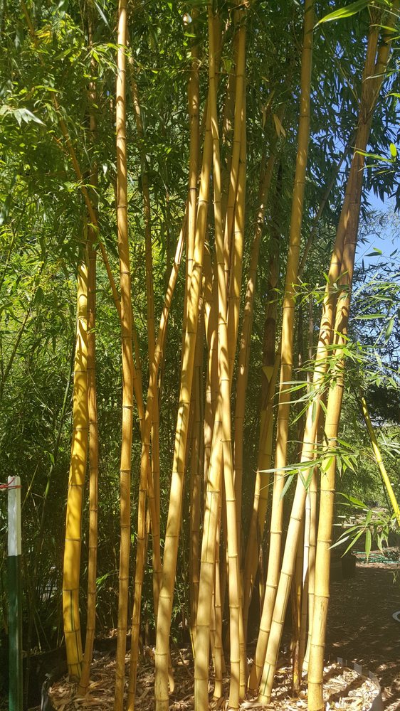 Photo of Cascade Gardens