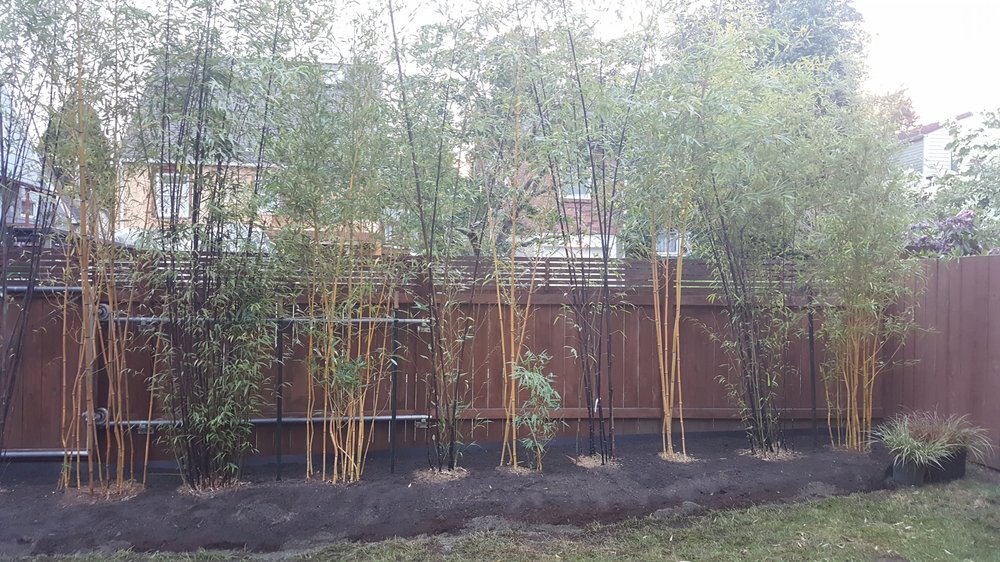 Photo of Cascade Gardens