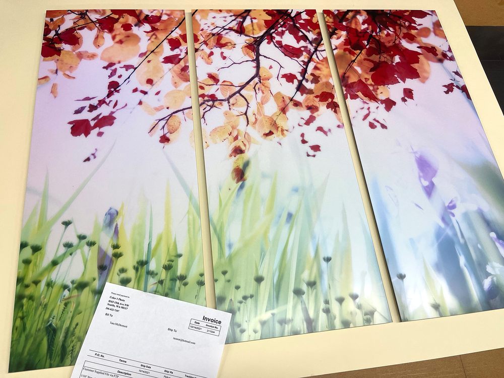 Photo of Color 1 Photo