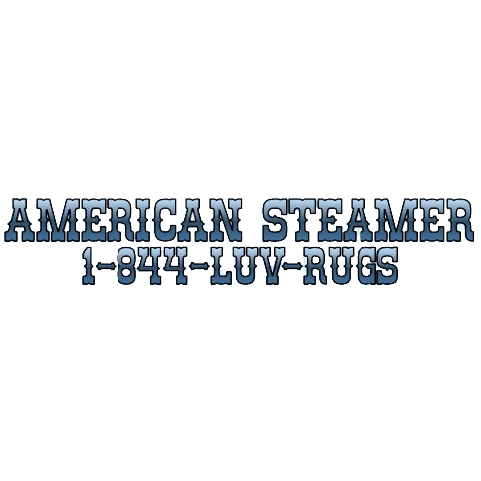 Photo of American Steamer Carpet Cleaner