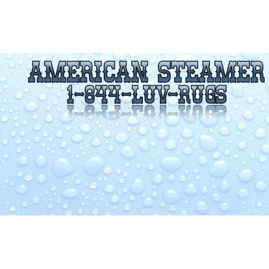 Photo of American Steamer Carpet Cleaner