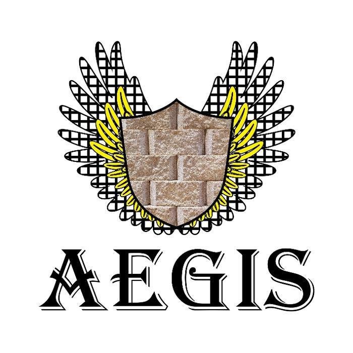 Photo of Aegis Retaining Wall Design