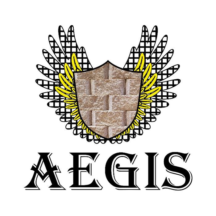 Photo of Aegis Retaining Wall Design