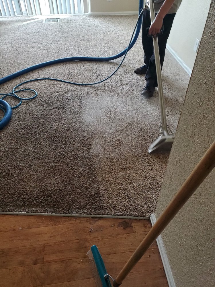 Photo of The One Carpet Cleaning