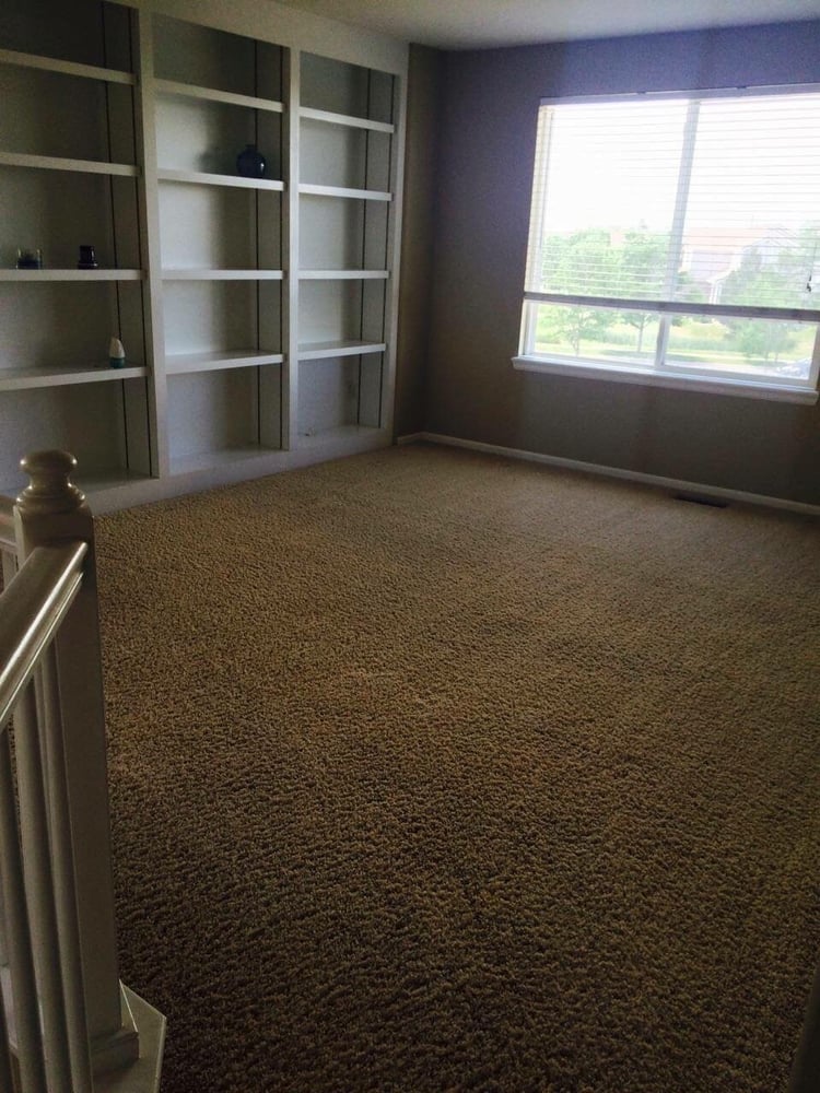 Photo of The One Carpet Cleaning