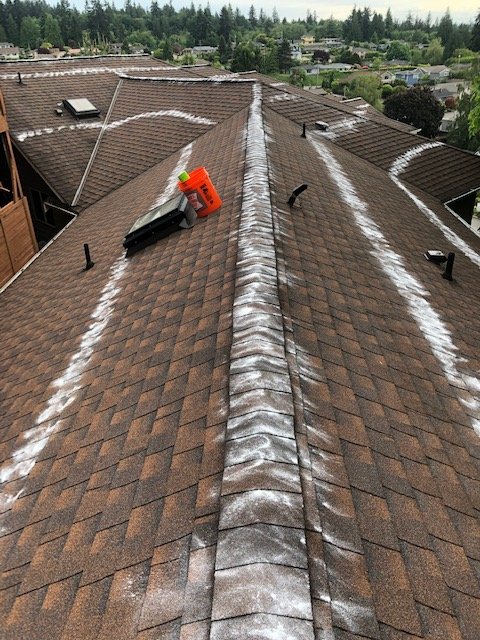 Photo of Apex Roof Repair & Maintenance