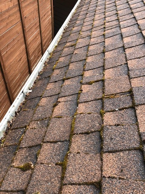 Photo of Apex Roof Repair & Maintenance