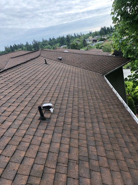 Photo of Apex Roof Repair & Maintenance