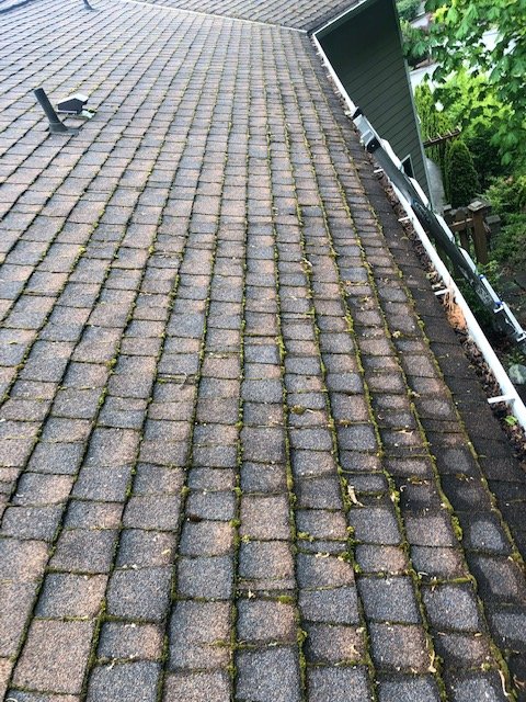 Photo of Apex Roof Repair & Maintenance