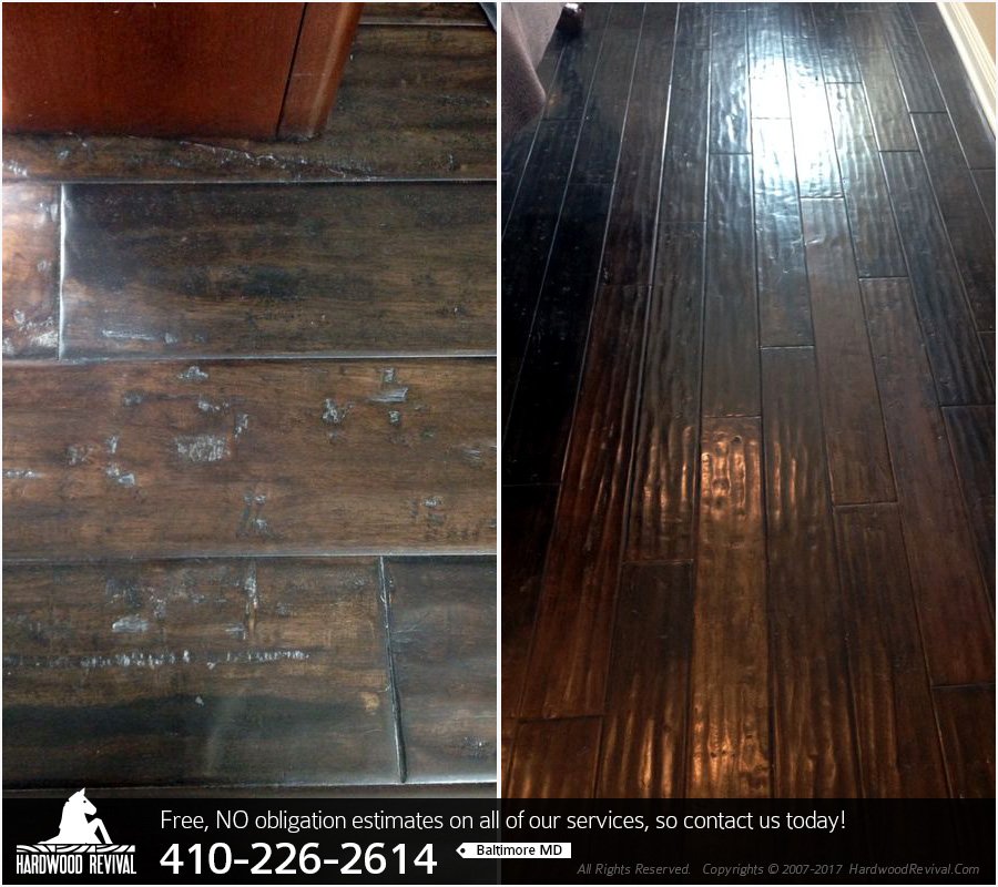 Photo of Hardwood Revival