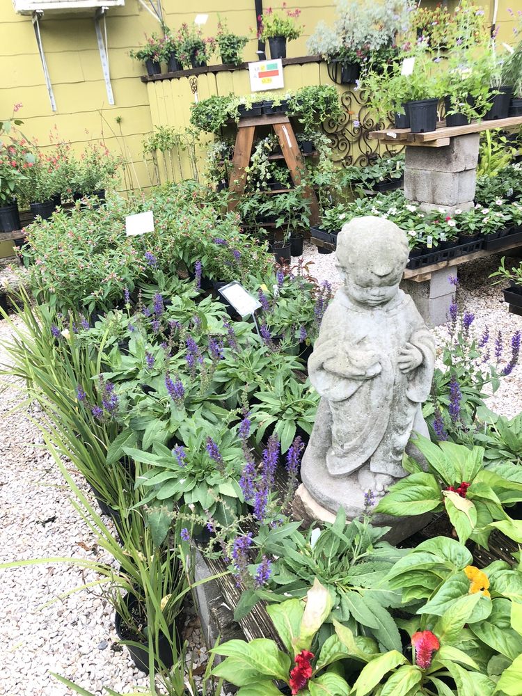 Photo of New Roots Landscaping