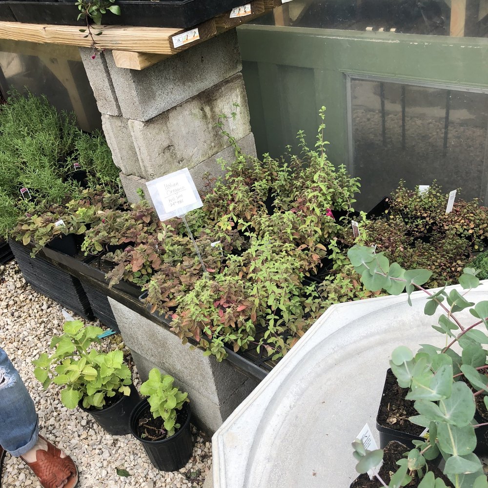 Photo of New Roots Landscaping